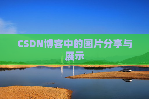 CSDN博客中的图片分享与展示